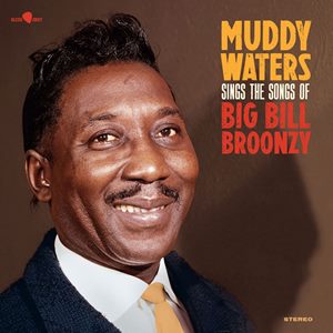 洋楽 Muddy Waters Sings Big Bill Broonzy Muddy Waters - LP-Review - Sings The Songs Of Big Bill Broonzy